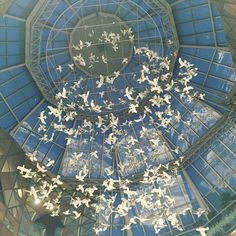 there are many white birds flying in the glass dome at this building's entrance