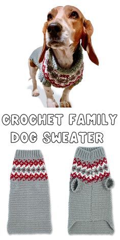 a dog wearing a sweater and mitts with the words crochet family dog sweater