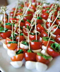 small appetizers with tomatoes and mozzarella are arranged on a platter