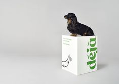 a black and brown dog sitting on top of a white box with the word demo printed on it