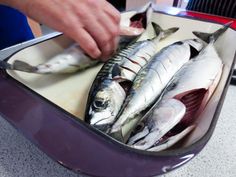 a person cutting fish in half with a knife