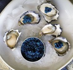 several open oysters on ice with blue cavia