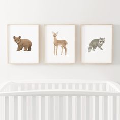 three animal prints hanging on the wall above a crib in a white nursery room