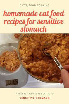 a person is scooping some food out of a bowl with the words homemade cat food recipes for sensitive stomachs