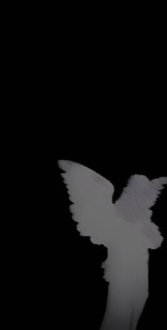 a bird flying in the dark with its wings spread