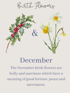 a christmas card with flowers and the words,'birth flowers & december'on it