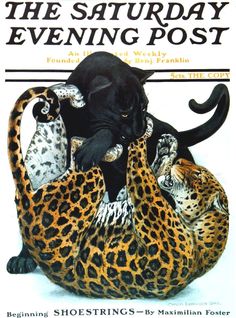 the saturday evening post featuring an image of two leopards and a cat on top of each other