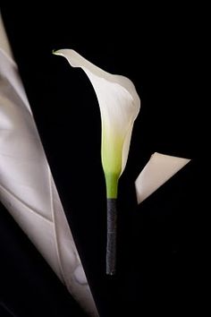 Lily Boutonniere, Calla Lily Bridal Bouquet, Calla Lily Boutonniere, Reception Table Centerpieces, Recuerdos Primera Comunion Ideas, Calla Lily Bridal, Mini Calla Lilies, Washington Seattle, Calla Lily Bouquet