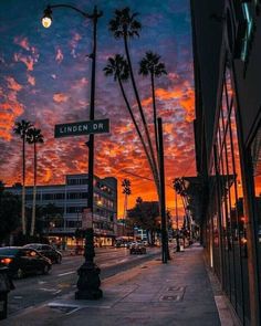 the sun is setting behind palm trees and street signs in front of a city building