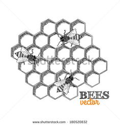 bees on honeycombs with the words bee's nectar in black and white