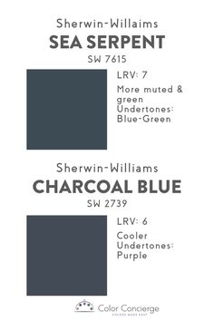 the color scheme for sherylin - williams's sea serpentt and charcoal blue