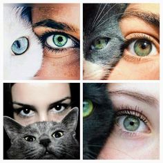 four different pictures of people with green eyes and cat's eyeballs on their faces