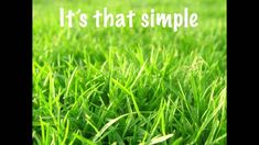 green grass with the words it's that simple