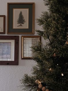 a christmas tree with ornaments and pictures on the wall