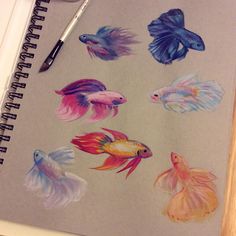 there are many different colored fish on this notebook