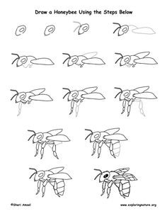 the instructions for how to draw a flying insect with wings and legs, in spanish