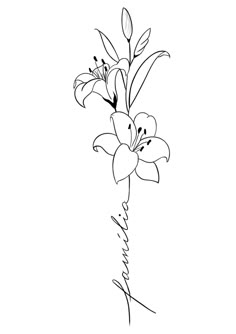 a black and white drawing of flowers