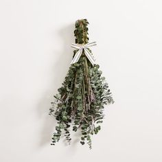 a bunch of green plants hanging from a white wall with ribbon on it's end