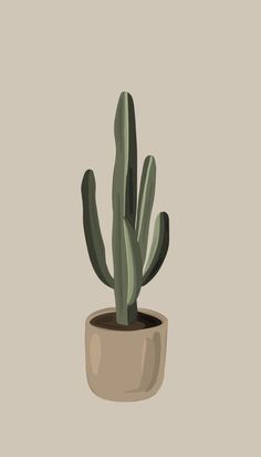 a cactus in a pot on a beige background