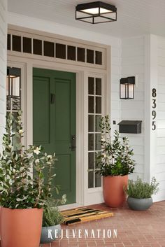 two potted plants sit on the front steps of a house with green doors and windows