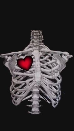 a skeleton with a red heart in it's chest