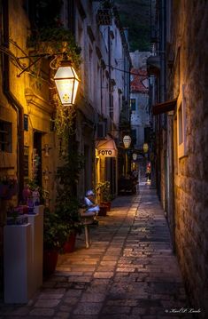 an alleyway with potted plants and street lights on either side, in the evening