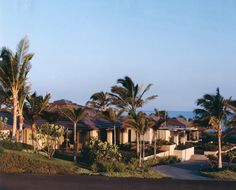 palm trees line the street in front of houses on a hill overlooking the ocean and beach