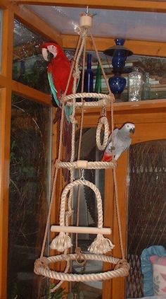 two parrots are perched on top of a rope ladder in a room with wood paneling