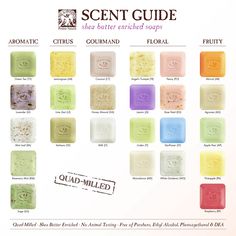 soap sample sheet with different types of soaps