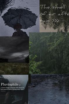 a collage of images with rain and trees in the background