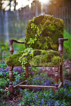 an old chair with moss growing on it