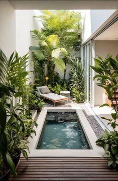 an indoor swimming pool surrounded by plants and greenery in the middle of a courtyard