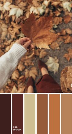 a person holding a leaf in their hand with the colors brown, red and green