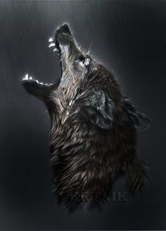 an animal with its mouth open in the rain