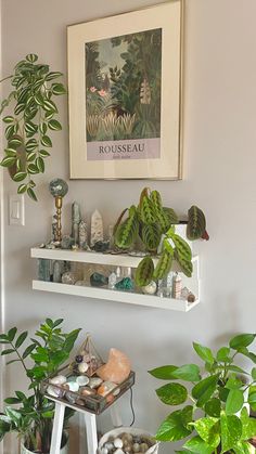 some plants are sitting on shelves in a room with pictures and other things to put on the wall