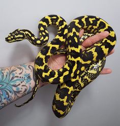 a hand holding a yellow and black snake on it's left arm with tattoos