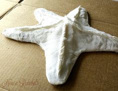 a white starfish laying on top of a cardboard box