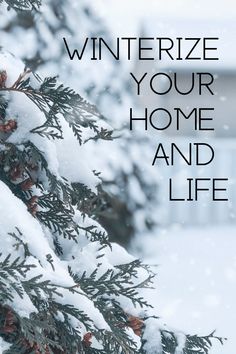 the words winterize your home and life are written on snow covered pine trees in front of a house