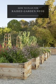 Want to create a stunning garden that's both beautiful and practical? Our latest post has all the tips and tricks for planning and building your own raised garden beds. #gardendesign #raisedbedgarden #DIY Low Raised Garden Beds, King Hezekiah, Vege Garden, Garden Bed Layout, Veggie Patch, Potager Garden, Frame Cabin, Garden Inspo, Veg Garden