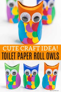 an image of toilet paper roll owls with the words cute craft idea