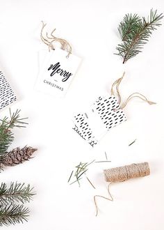 pine cones, twine and christmas tags on white background