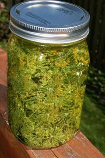 a jar filled with green moss sitting on top of a wooden bench