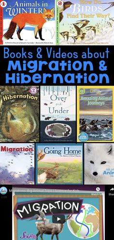 books and videos about migrating and hibernation are featured in this poster for the children's book club