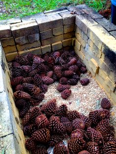 a pile of pine cones sitting in the middle of a brick fire pit surrounded by grass