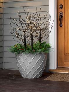 a potted plant with some lights in it on the front door step next to a wooden door