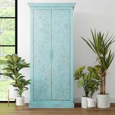 three potted plants in front of a blue cabinet