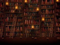 there are many bookshelves with lights in the room and ladders to reach them