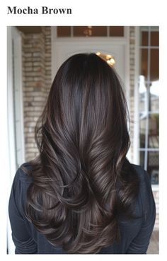 Brunette Hair Shades Color Charts, Brown Low Lights Brunettes Dark Hair, 2024 Brunette Hair Color, Mocha Hair Colors, Whisper Brunette, Dark Brown Hair Cool Tones, Hair Colour For Dark Skin Tones, No Bleach Hair Color For Dark Hair, Color Hair Brown