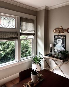 a dining room table with two plants on it and a window in the back ground