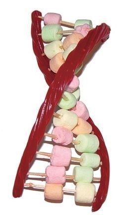 an x - shaped object made out of marshmallows and candy canes